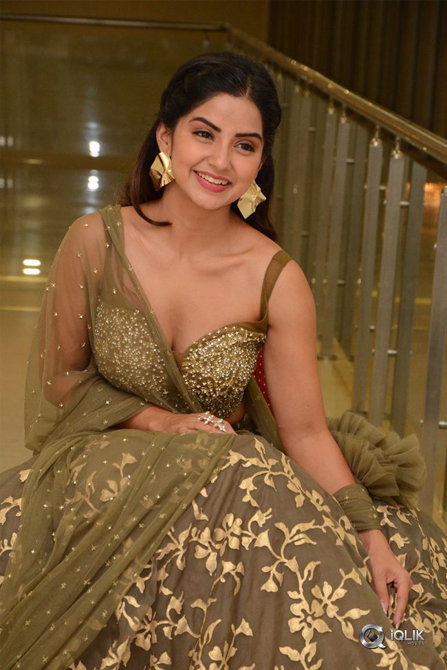 Kashmira-at-Nartanasala-Pre-Release-Event